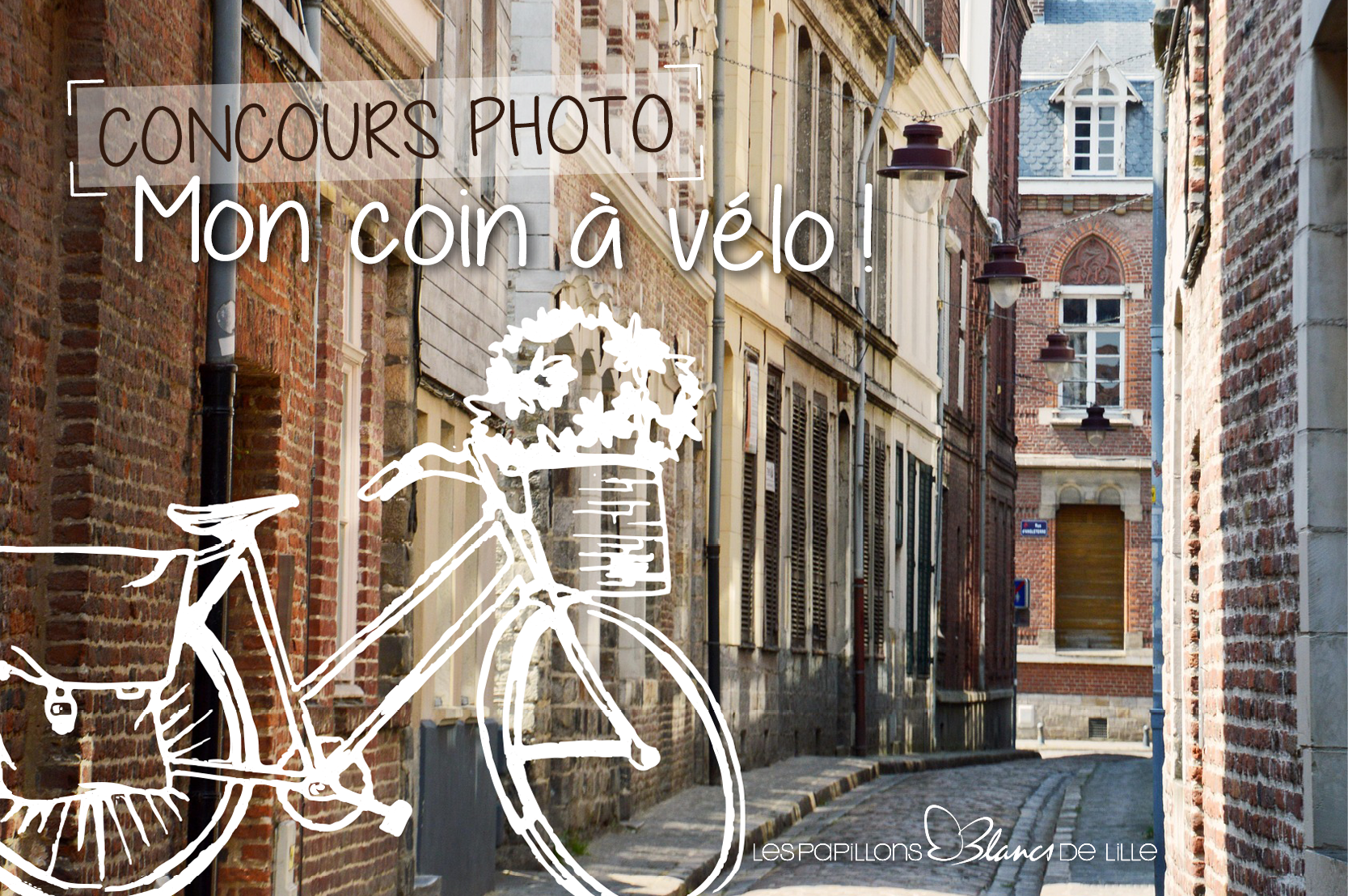 Les Papillons Blancs de Lille concours photo 2025