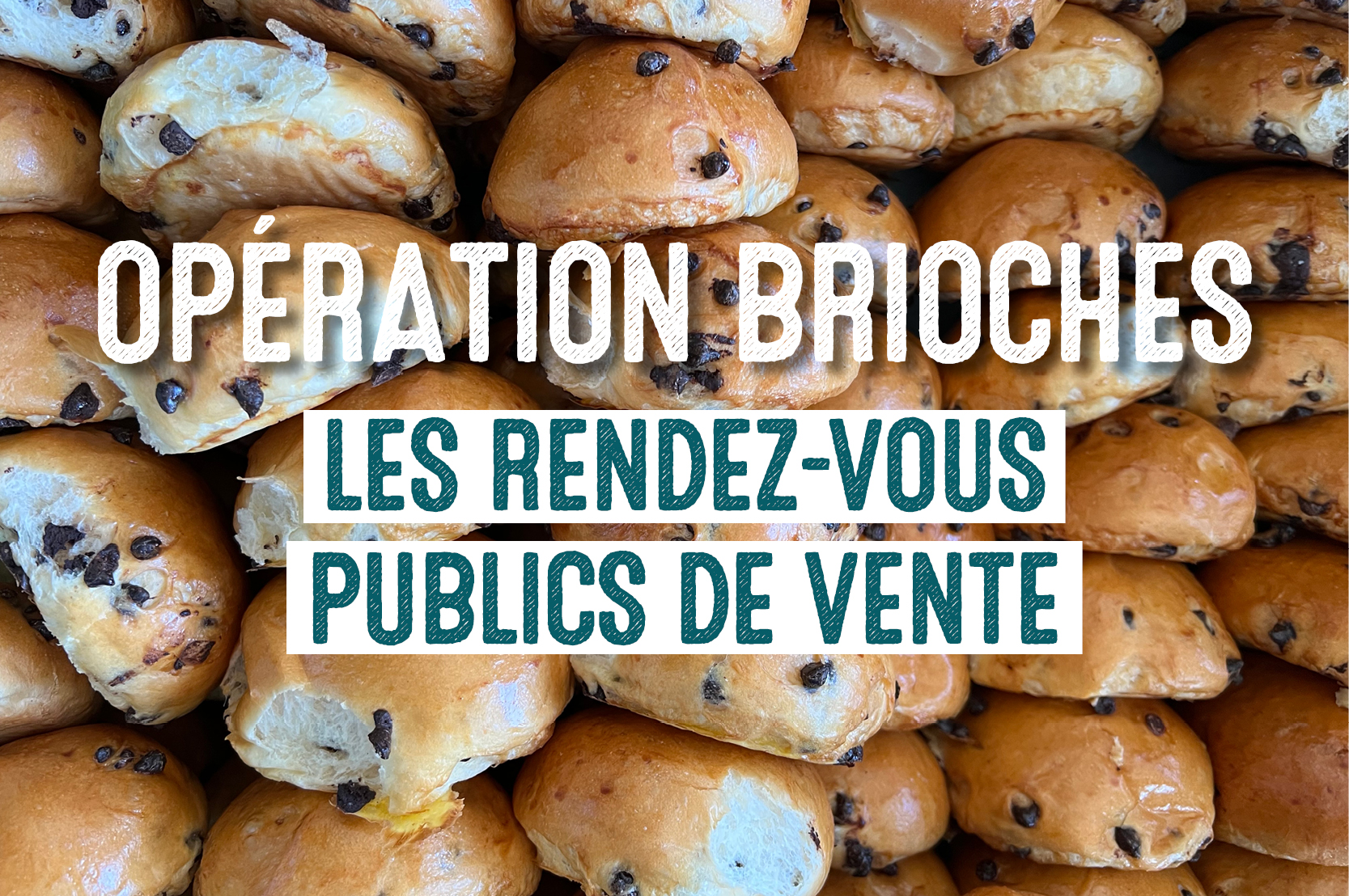 Opération Brioches Lille lieux de vente 2025